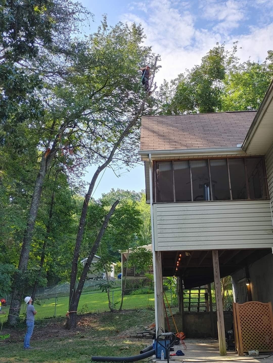 Tree leaning toward a house and deck before removal