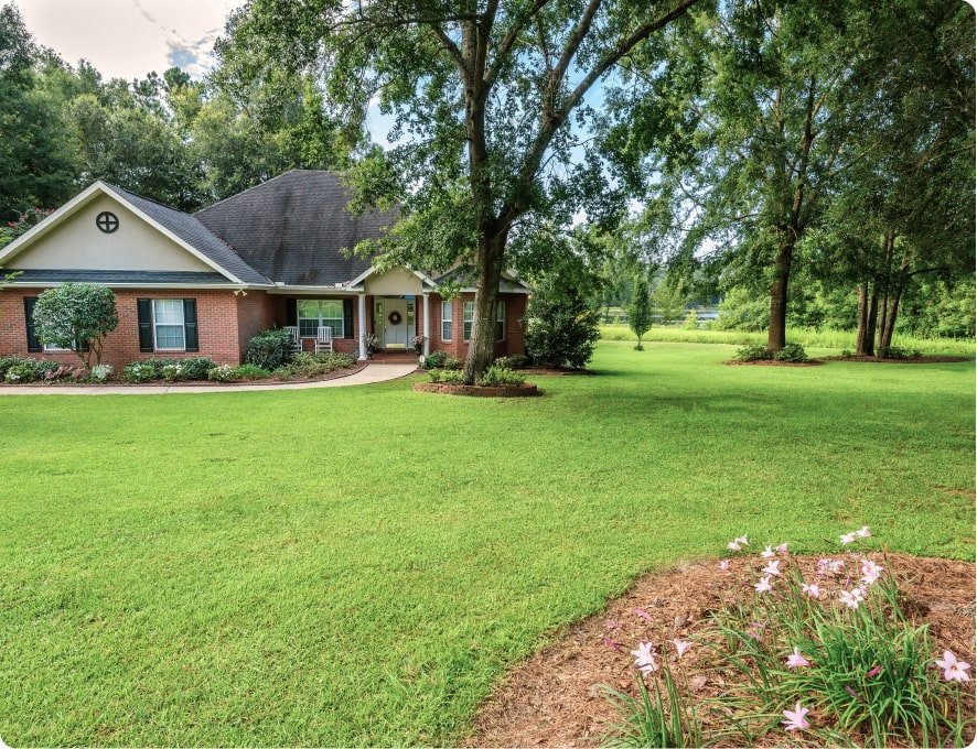 Clean residential yard with green lawn and mature trees after tree work