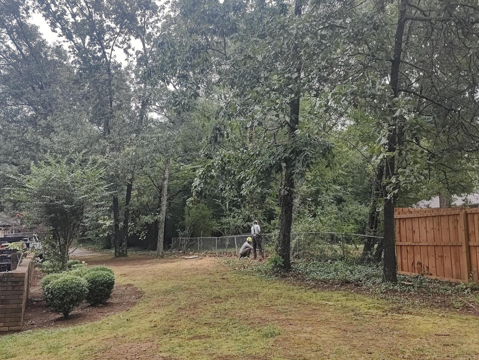 Workers clearing branches from a backyard near a wooden fence